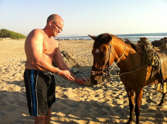 Vida en la playa